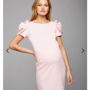 Pietro Brunelli Light Pink Designer Rose Appliqué Maternity Dress size Small